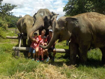 Chiang Mai: Elephant Sanctuary Local Hill Tribe Caretakers - Price and Value: What $51 Covers (and Why It’s Not Just About Elephants)