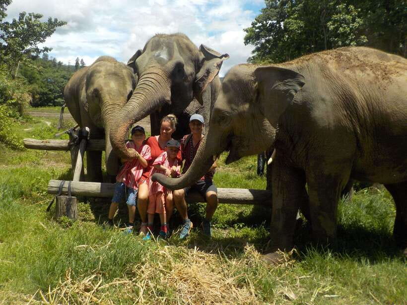 Chiang Mai: Elephant Sanctuary Local Hill Tribe Caretakers - Price and Value: What $51 Covers (and Why It’s Not Just About Elephants)