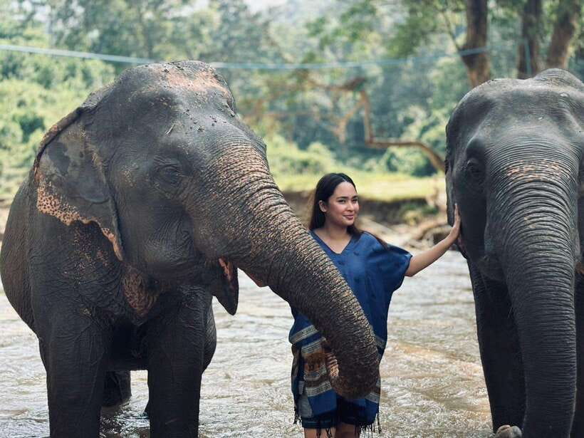 Chiang Mai: Elephant Sanctuary, Long Neck & Sticky Waterfall - Elephant Sanctuary Chiang Mai: What caretaker time really means