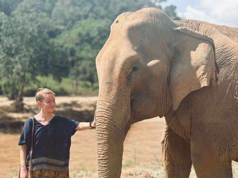 Chiang Mai: Elephant Sanctuary, Long Neck & Sticky Waterfall - River elephant bathing: refreshing, but bring the right gear