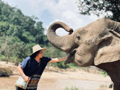 Chiang Mai: Elephant Sanctuary, Long Neck & Sticky Waterfall - Herbal treats and hand-feeding: the lesson is part of the fun
