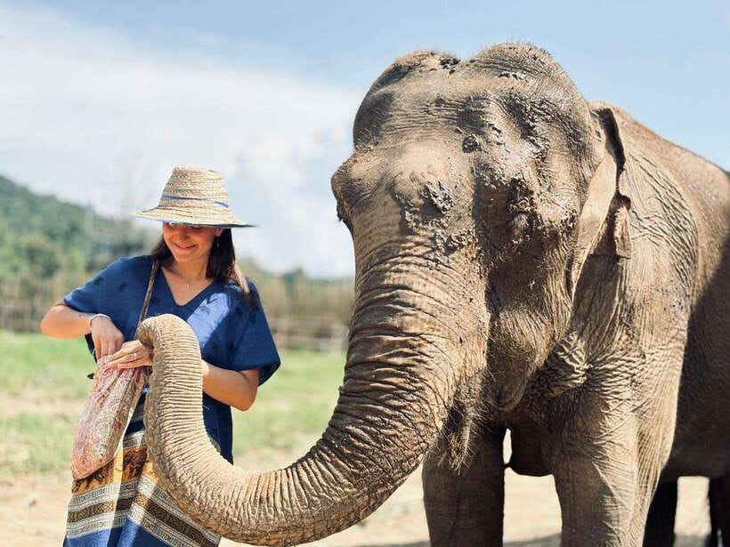 Chiang Mai: Elephant Sanctuary, Long Neck & Sticky Waterfall - Lunch and included extras: why the “small stuff” changes the day