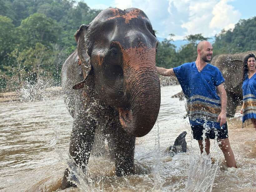 Chiang Mai: Elephant Sanctuary, Long Neck & Sticky Waterfall - Transport and timing in Chiang Mai: the day stays on track