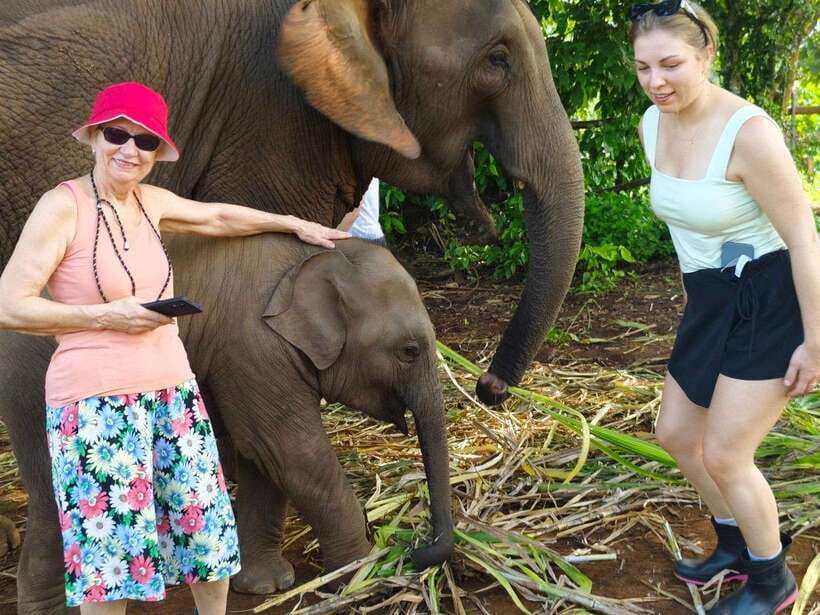 Chiang Mai: Elephant Sanctuary, Monk Trail & Doi Suthep Tour - Key highlights worth your time
