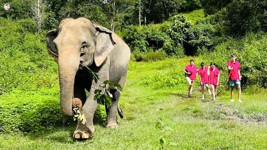 Chiang Mai: Elephant Sanctuary & Suthep Temple Sunrise View - Mae Wang District: leaving the city for elephant country