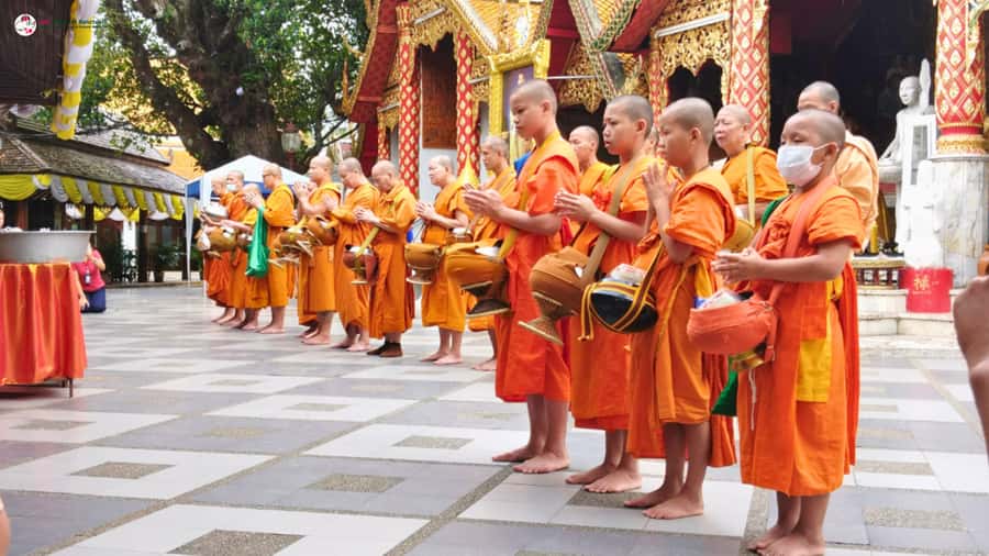 Chiang Mai: Elephant Sanctuary & Suthep Temple Sunrise View - What to pack (so the day stays comfortable)