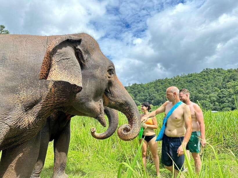 Chiang Mai: Elephant Sanctuary, Waterfall & Bamboo Rafting - Bamboo Rafting on the Mae Wang River: Fun Light Rapids, Real Relaxing