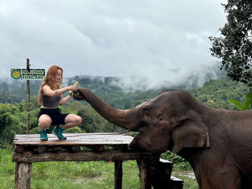 Chiang Mai: Elephant Sanctuary, Waterfall & Bamboo Rafting - What Lunch Looks Like (and How to Handle Dietary Needs)