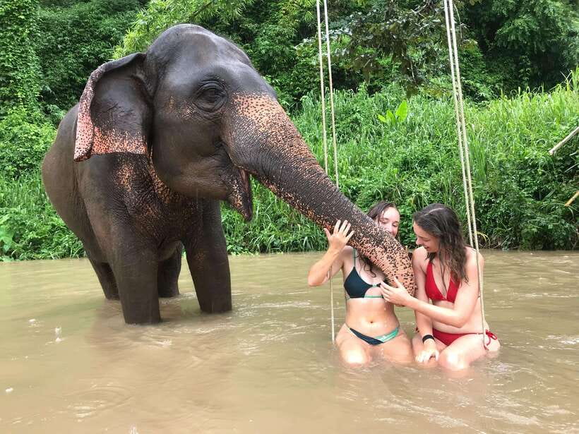 Chiang Mai: Elephant Sanctuary & Waterfall Group Tour - Key highlights to look for