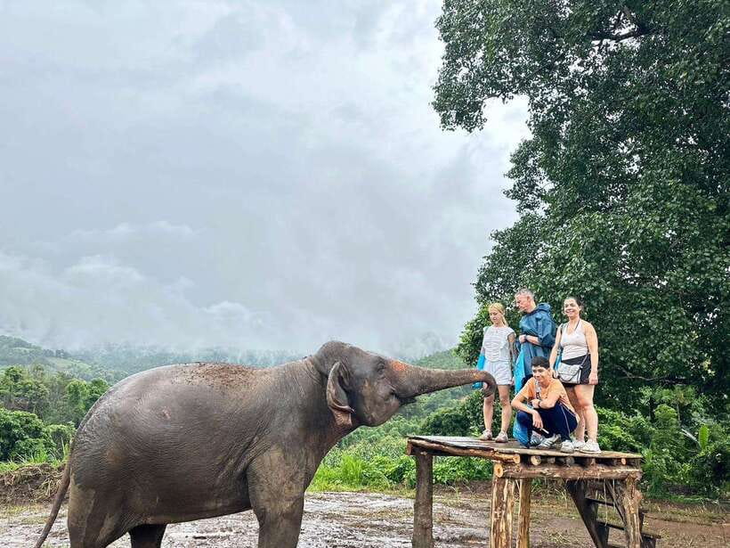 Chiang Mai: Elephant Sanctuary & Waterfall Group Tour - Who this tour suits best (and who should skip it)