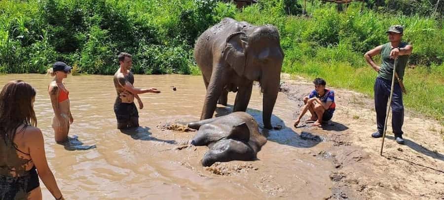 Chiang Mai Elephant Village Life: Long Neck & Bamboo Rafting - Key things to know before you go