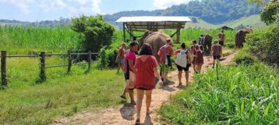 Chiang Mai Elephant Village Life: Long Neck & Bamboo Rafting - Elephant Care First: No Riding, No Chains or Hooks