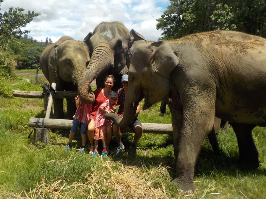 Chiang Mai Elephant Village Life: Long Neck & Bamboo Rafting - Karen Hill Village Visit: Culture After the Waterfall