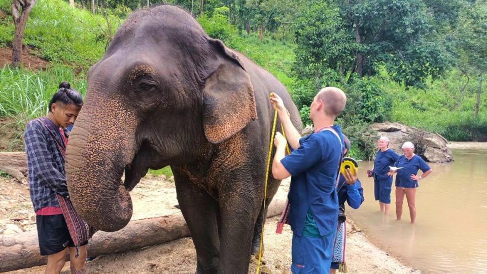 Chiang Mai Elephant Village Life: Long Neck & Bamboo Rafting - Bamboo Rafting on a Quiet River: The 45-Minute Reset
