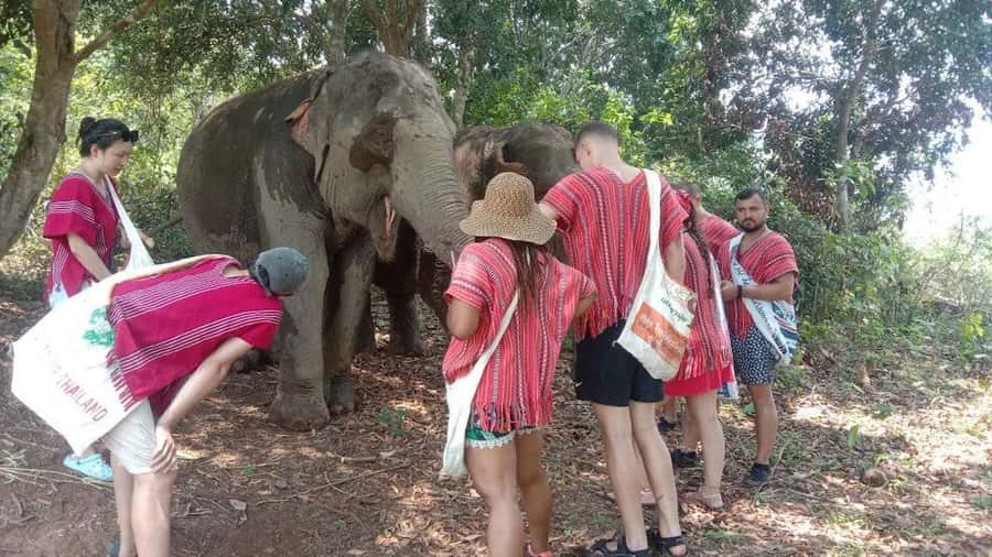 Chiang Mai Elephant Village Life: Long Neck & Bamboo Rafting - Price and Logistics: What $70 Includes in Chiang Mai