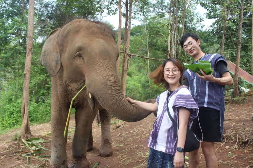 CHIANG MAI ELEPHANT VILLAGE SANCTUARY JUNGLE ADVENTURE - Key Things to Know Before You Go