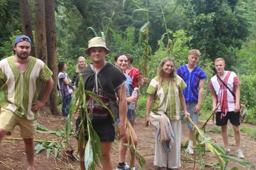 CHIANG MAI ELEPHANT VILLAGE SANCTUARY JUNGLE ADVENTURE - Morning Drive From Chiang Mai to the Rice-Field Edge