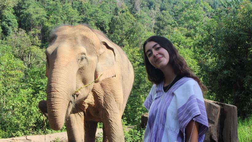 CHIANG MAI ELEPHANT VILLAGE SANCTUARY JUNGLE ADVENTURE - Who This Tour Is Best For