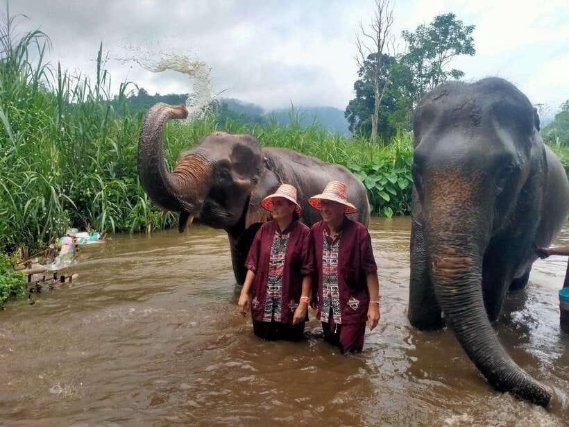 Chiang Mai: Elephants, Sticky Waterfalls, Market and Temple - Key highlights worth your time