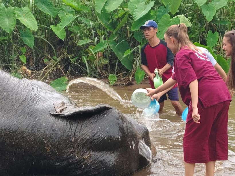 Chiang Mai: Elephants, Sticky Waterfalls, Market and Temple - Bua Thong Sticky Waterfalls: Walk Up, Slip Down, Laugh Anyway