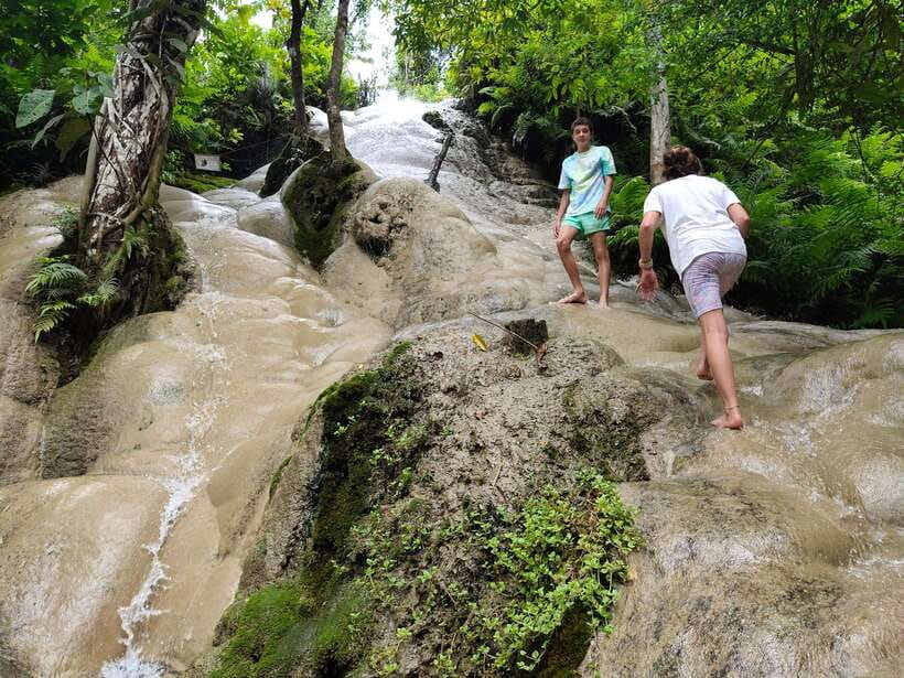 Chiang Mai: Elephants, Sticky Waterfalls, Market and Temple - Countryside Roads: Paddy Fields, Orchards, and Off-the-Beaten-Path Feel