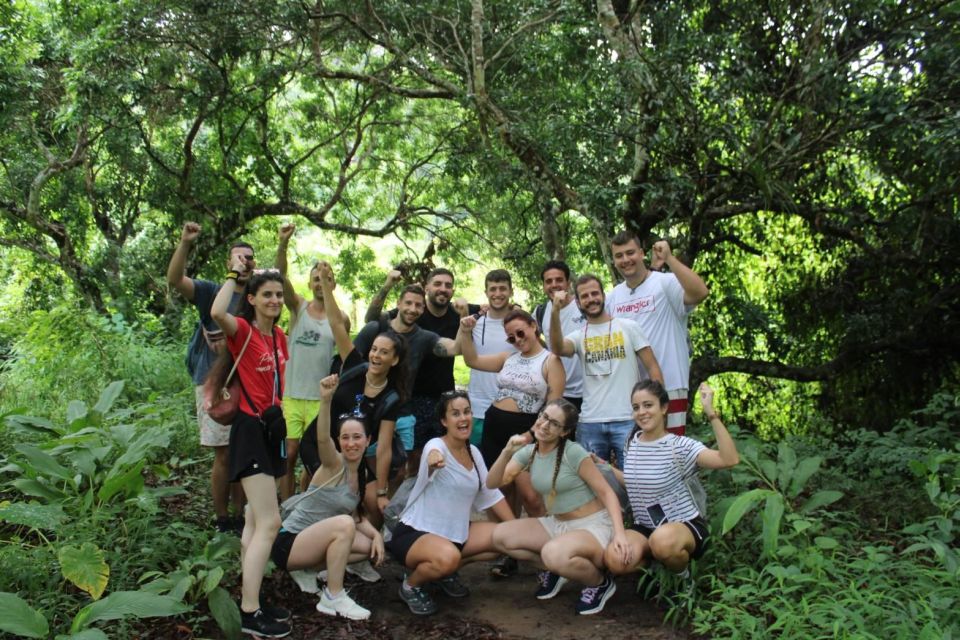 Chiang Mai: Elephants, Waterfall, and White Water Rafting - Timing, Pace, and What Fitness Level Works