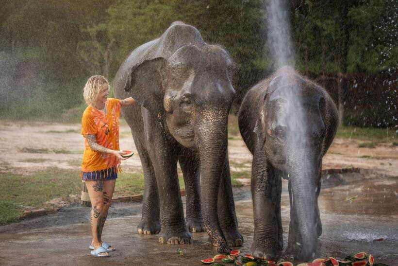 Chiang Mai: Ethical Elephant Feeding & Shower Program - Key things to know before you go