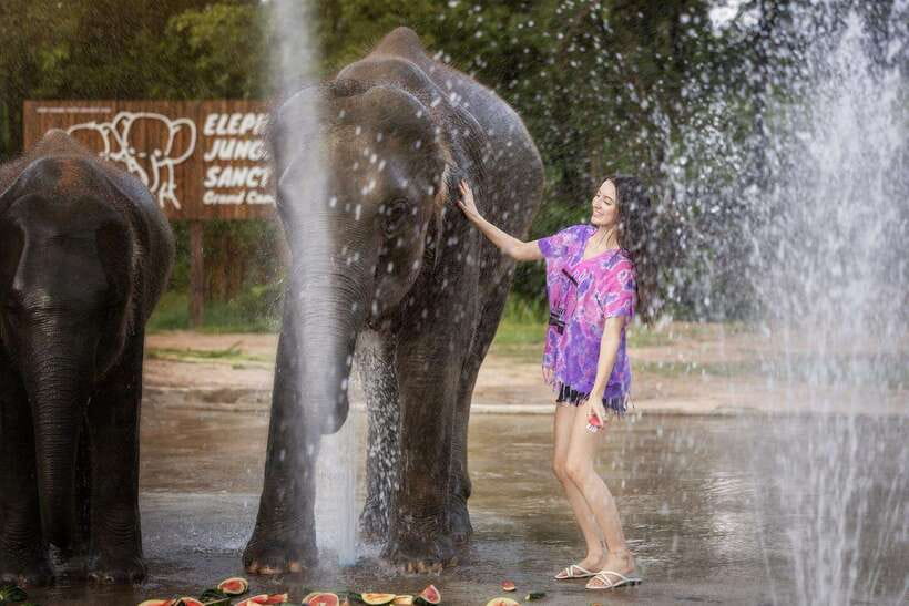 Chiang Mai: Ethical Elephant Feeding & Shower Program - Feeding from the viewing platform: how it actually works