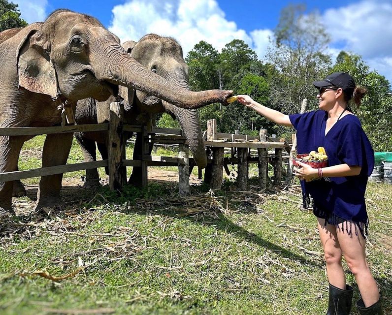 Chiang Mai : Ethical Elephant Sanctuary and ATV Adventure - How to prepare: bring the right gear, skip the mistakes