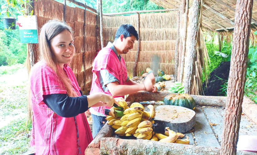 Chiang Mai: Ethical Half Day Elephant Sanctuary & Waterfall - Key things I’d circle before you book