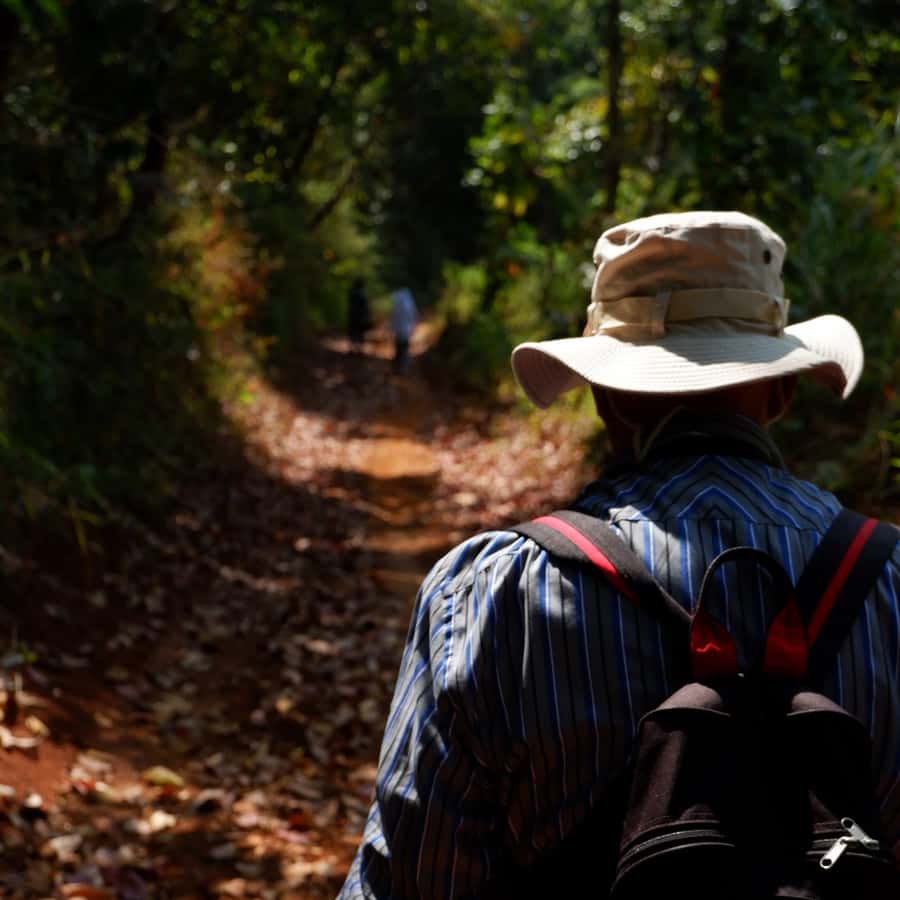 Chiang Mai: Full Day 5 Hill Tribes Tour - Your full-day route: five villages, one long day of contrasts