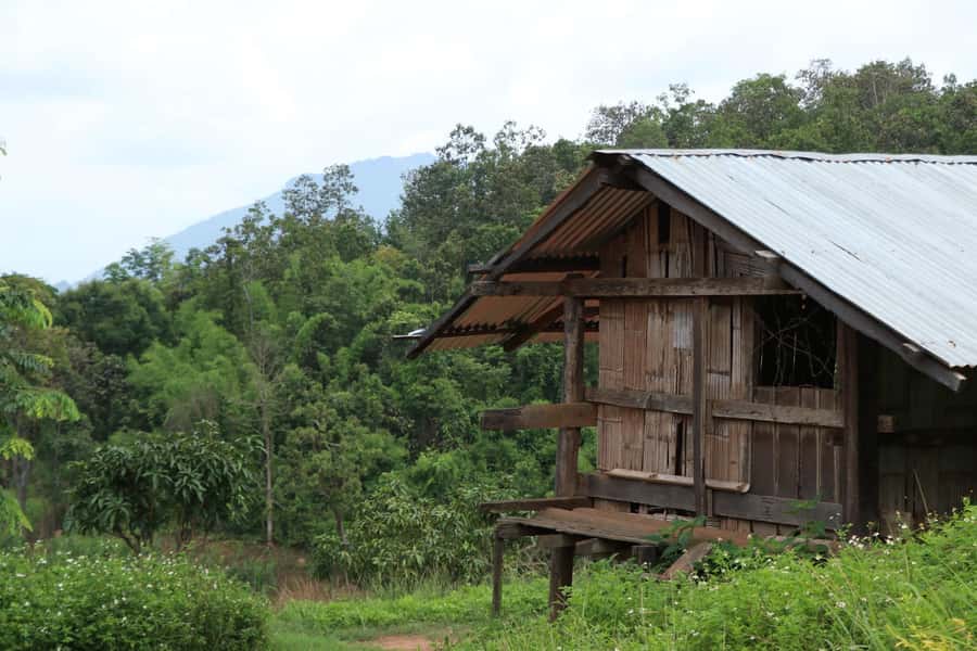 Chiang Mai: Full Day 5 Hill Tribes Tour - Karen Village near Baan Phalai: the day’s “cooler” nature break