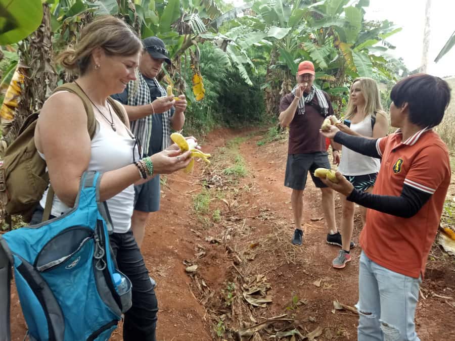 Chiang Mai: Full Day 5 Hill Tribes Tour - Lisu Village: a shaded pause and souvenir chances