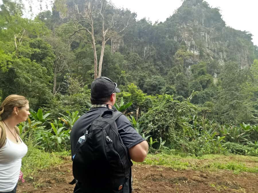 Chiang Mai: Full Day 5 Hill Tribes Tour - Akha Village trek: where the walking earns its keep