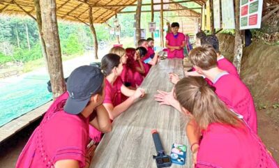 Chiang Mai: Full Day Ethical Elephant Sanctuary & Waterfall - The 9-Hour Plan, With Real Time on the Road
