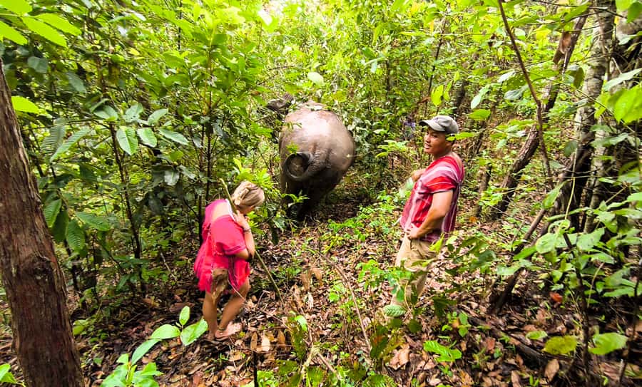Chiang Mai: Full Day Ethical Elephant Sanctuary & Waterfall - Packing List and Comfort Tips That Make the Day Easier
