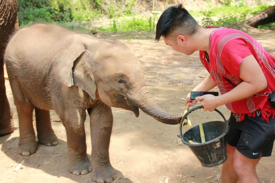 Chiang Mai: Full-Day Kerchor Elephant Eco Park Tour & Trek - Bamboo rafting on a traditional bamboo raft: wet, muddy, and fun
