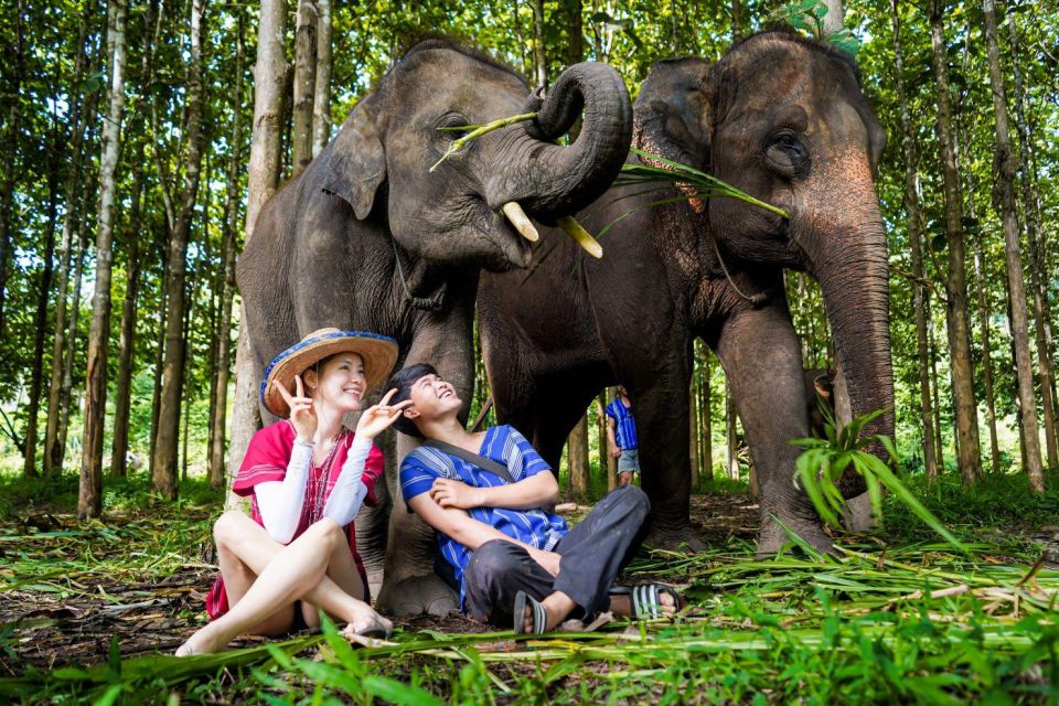 Chiang Mai: Full-Day Kerchor Elephant Eco Park Tour & Trek - Is Kerchor truly ethical? What the no-riding model means for you