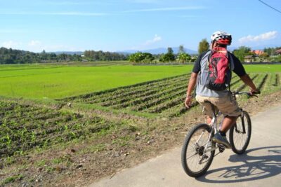 Chiang Mai: Full-Day Nature & Countryside by Bicycle - Mountain Biking Between Villages and Rice Paddies