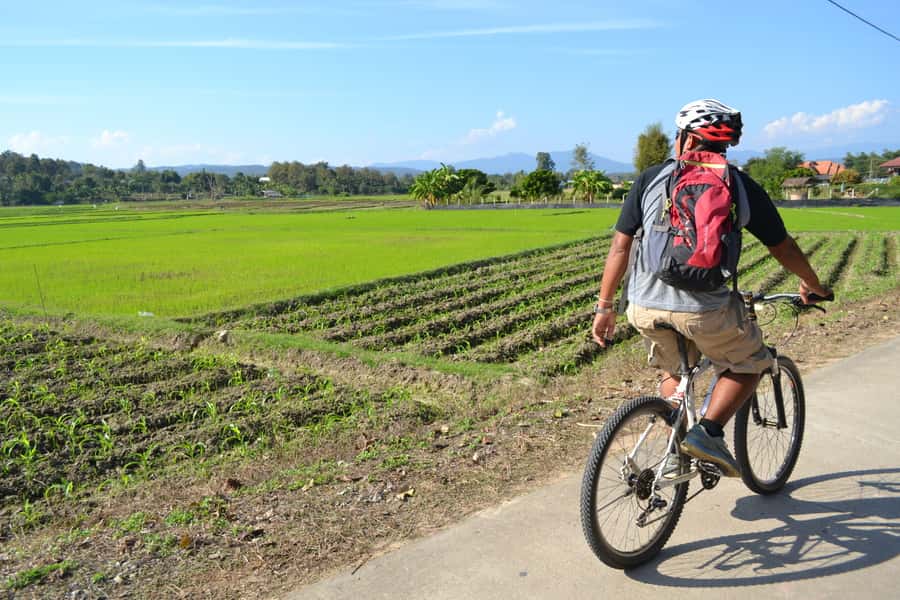 Chiang Mai: Full-Day Nature & Countryside by Bicycle - Mountain Biking Between Villages and Rice Paddies