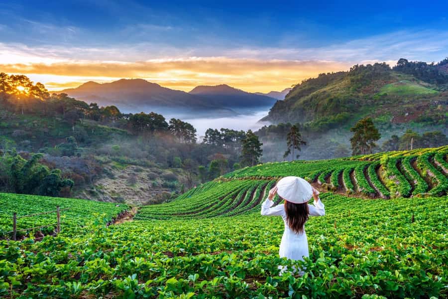 Chiang Mai: Full-Day Private Car Charter to Doi Ang Khang - Ang Khang Royal Agricultural Station: where the farming story starts