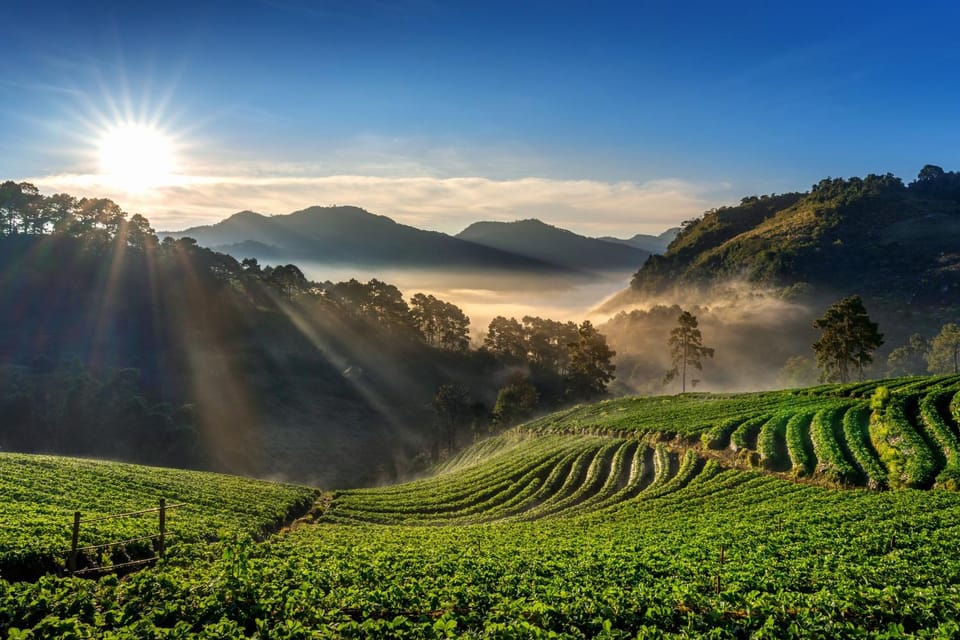 Chiang Mai: Full-Day Private Car Charter to Doi Ang Khang - Bhu Bhing Palace and Ang Khang Nature Trail: quiet sights with simple pacing