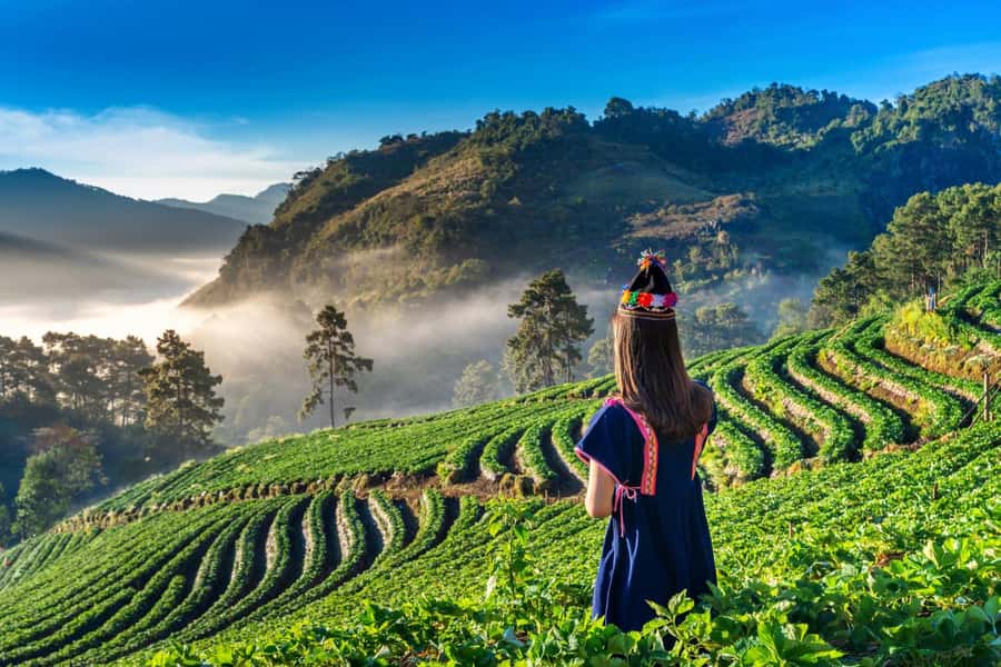 Chiang Mai: Full-Day Private Car Charter to Doi Ang Khang - The drive out of Chiang Mai: scenic, but plan for the long road