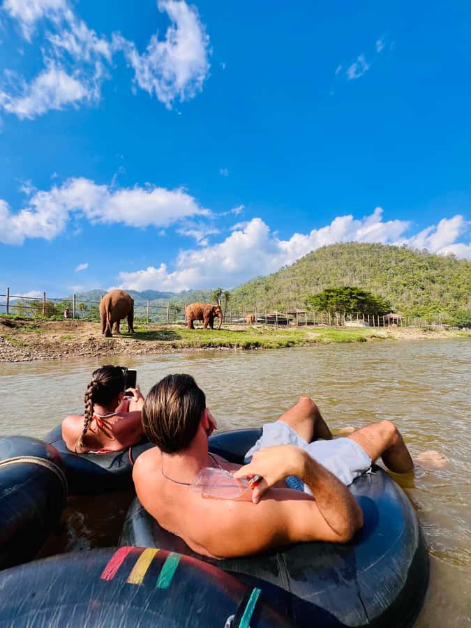 Chiang Mai Full-Day: Trekking, Tubing & Elephant Observation - Key highlights worth getting excited about