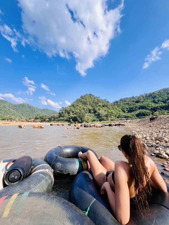 Chiang Mai Full-Day: Trekking, Tubing & Elephant Observation - Trekking to Tard Mok Waterfall: what moderate really means