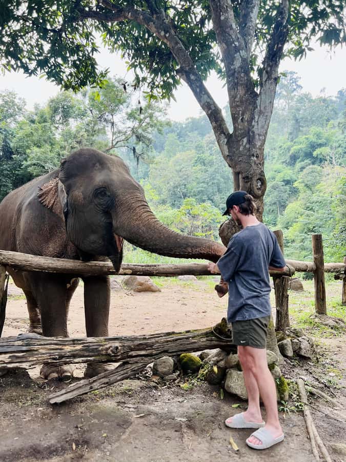 Chiang Mai Full-Day: Trekking, Tubing & Elephant Observation - Elephant observation at a community-run sanctuary: respectful and no-riding