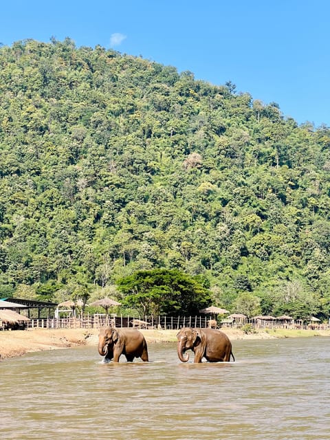 Chiang Mai Full-Day: Trekking, Tubing & Elephant Observation - Shower, tea, and the quiet finish at base camp