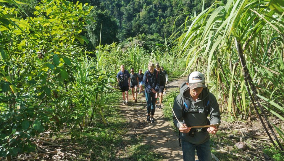 Chiang Mai: Guided Jungle and Waterfall Trek with Transfer - What to Bring for Chiang Mai Jungle + Waterfall Comfort