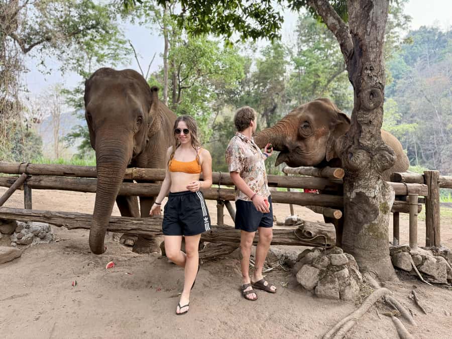 Chiang Mai Half-Day Adventure: River Tubing & Waterfall - Elephant Feeding Add-On at Sunshine for Elephants (Optional)