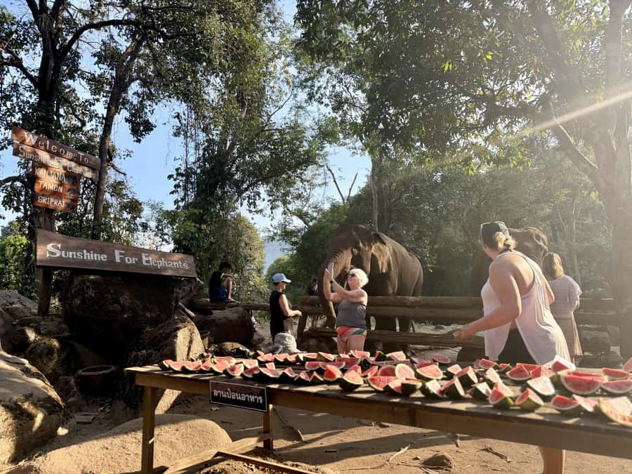 Chiang Mai Half-Day Adventure: River Tubing & Waterfall - Showers, Tea, and Snacks: Why the End Part Matters